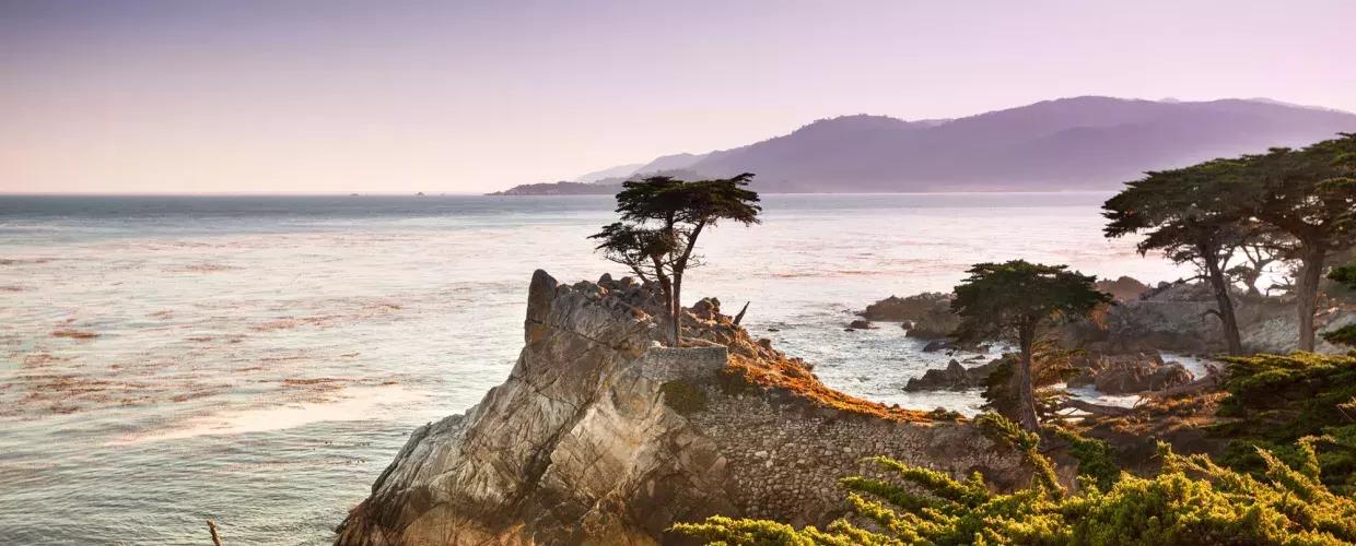 A lone cypress tree is pictured on a peninsula surrounded by Pacific Ocean 和 coastal foliage.